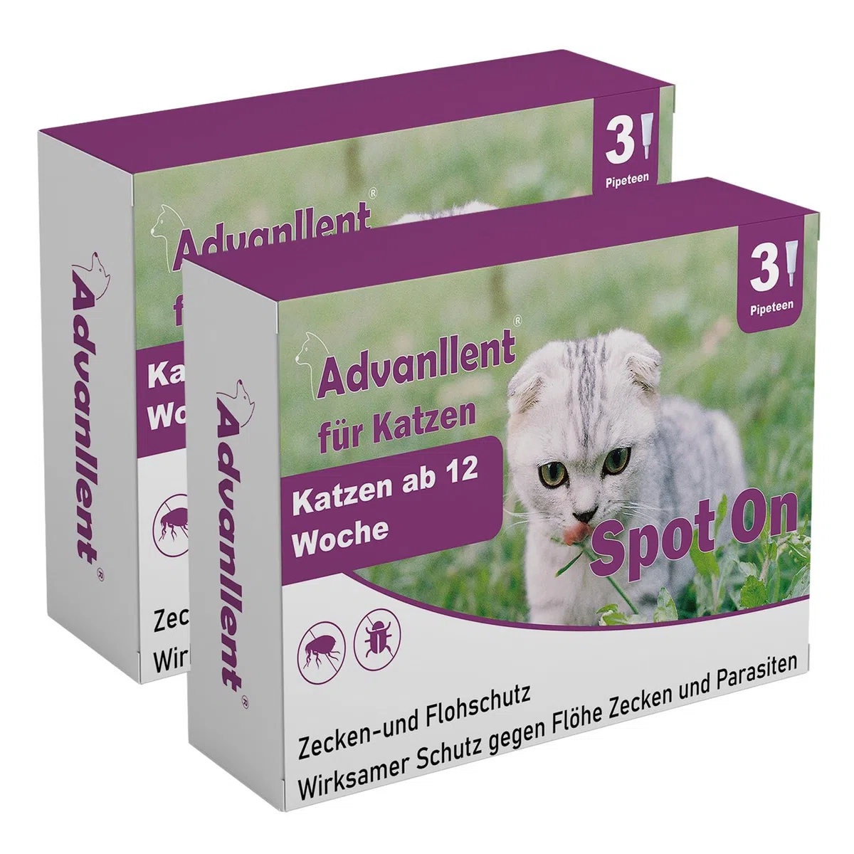 Zeckenschutz für Katzen 6 Pipetten, Spot On Katzen, Zeckenmittel für Katze, Katze flohmittel entwurmungsmittel für Katzen, gegen Flöhe & Zecken