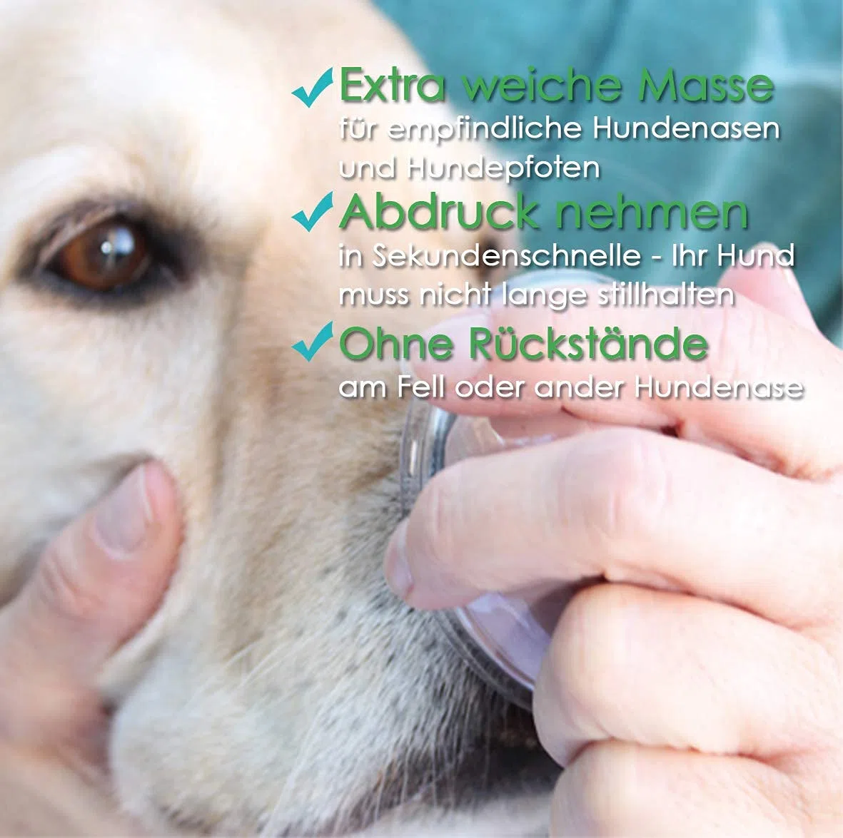 Gipsabdruck Set Hundepfote und Hundenase. 3D Abdruck-Set Hund und Katze für Pfote und Schnauze, wiederverwendbare Gießform, Deutsche Herstellung, Pfotengröße XS bis M