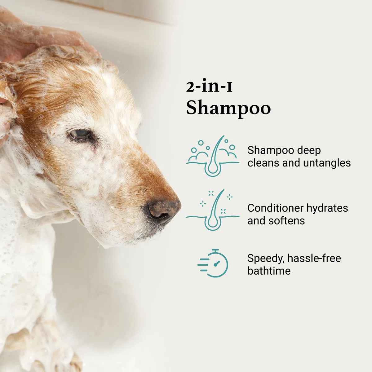 iGroom All In One Shampoo & Conditioner - Deep Cleansing & Hydrating, 475ml