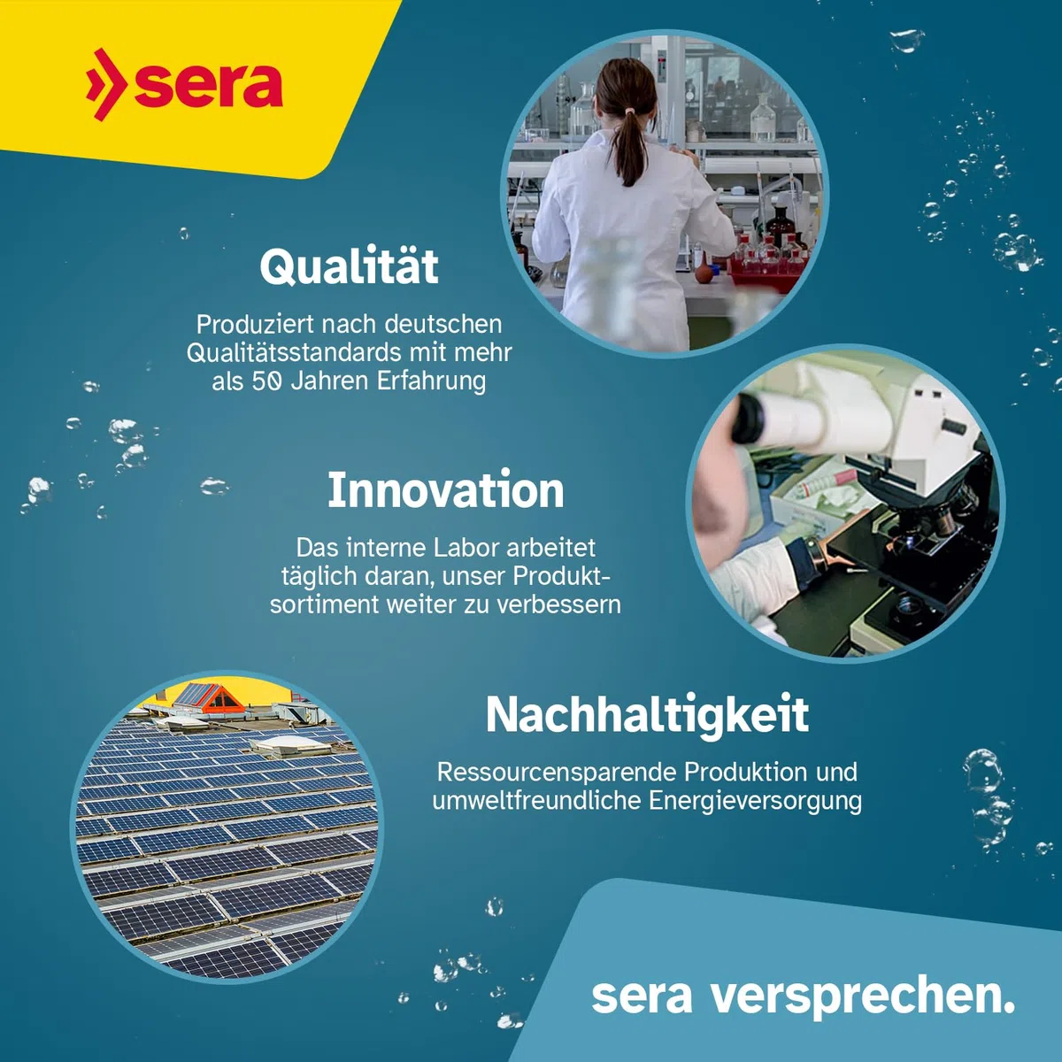 sera air 550 R Plus| Stromsparende Aquarium Pumpe mit Rückschlagventil | Aquarium Zubehör | Energieeffizient & leise | Starker Luftstrom Nonstop | Modulares Design, leicht zu warten