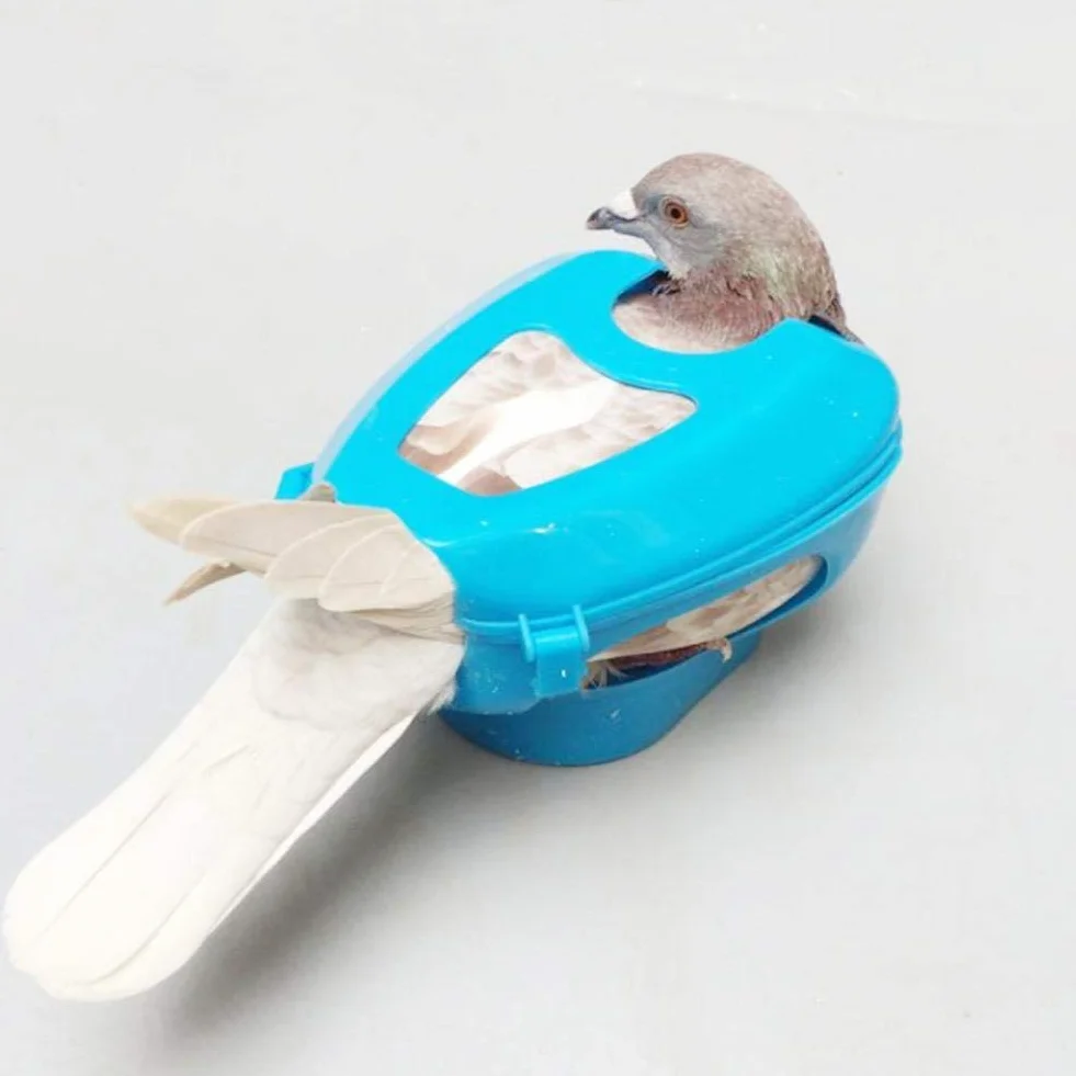 Tauben Injection Holder Vogel Kunststoff Festrahmen Feste Fütterungsbox für Einfache Fütterung von Tauben(blau )