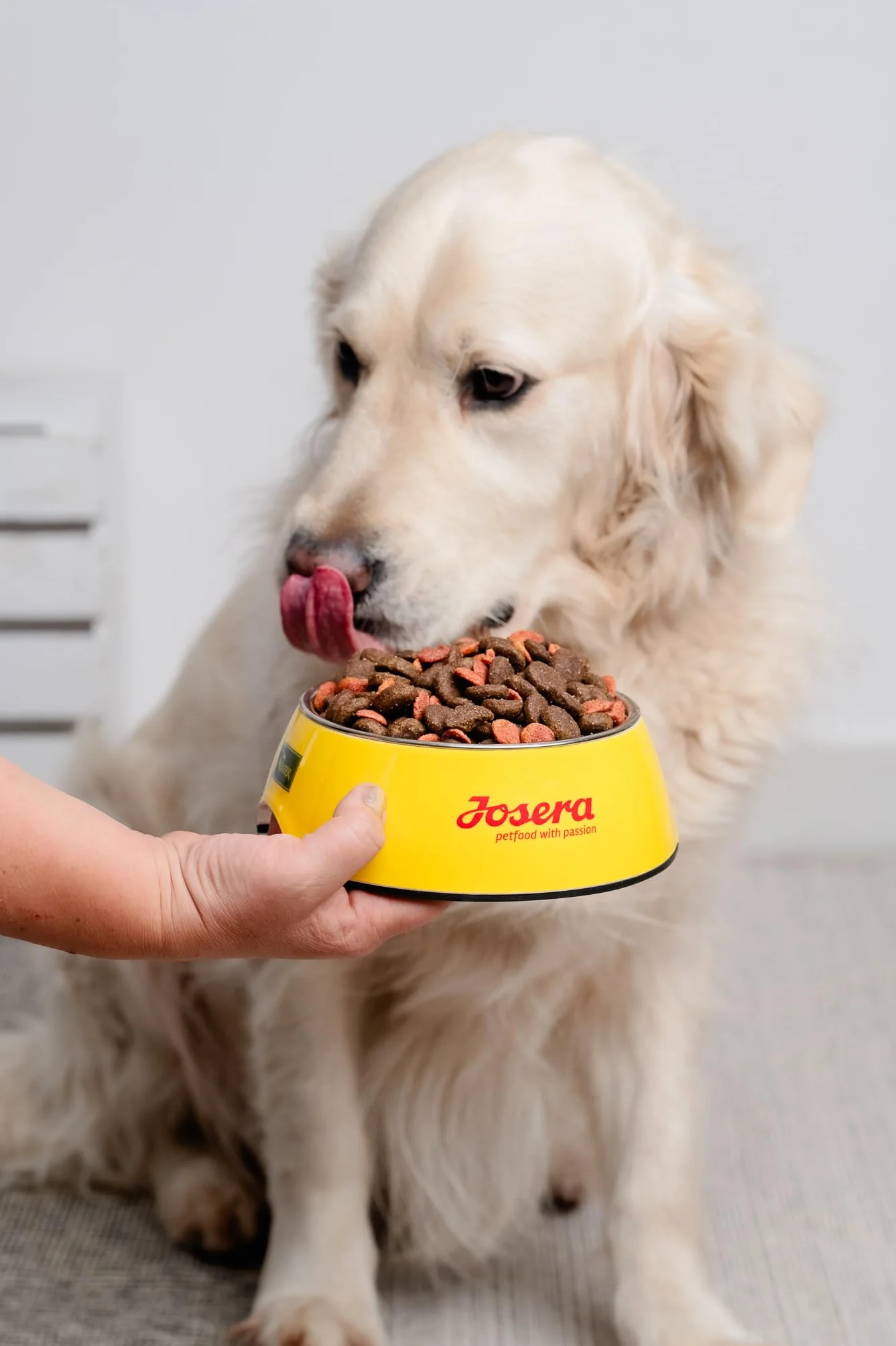 JosiDog Adult Sensitive (1 x 15 kg) | Adult | Premium Trockenfutter für empfindliche Hunde | besonders bekömmlich mit viel Geflügelprotein | glutenfrei | Powered by JOSERA | Hundefutter | 1er Pack