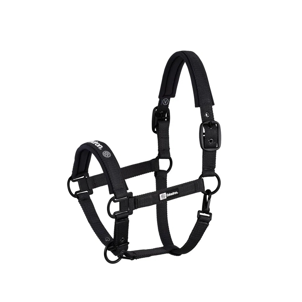 Halfter Double-Pin DYNAMIC Kollektion 2024
