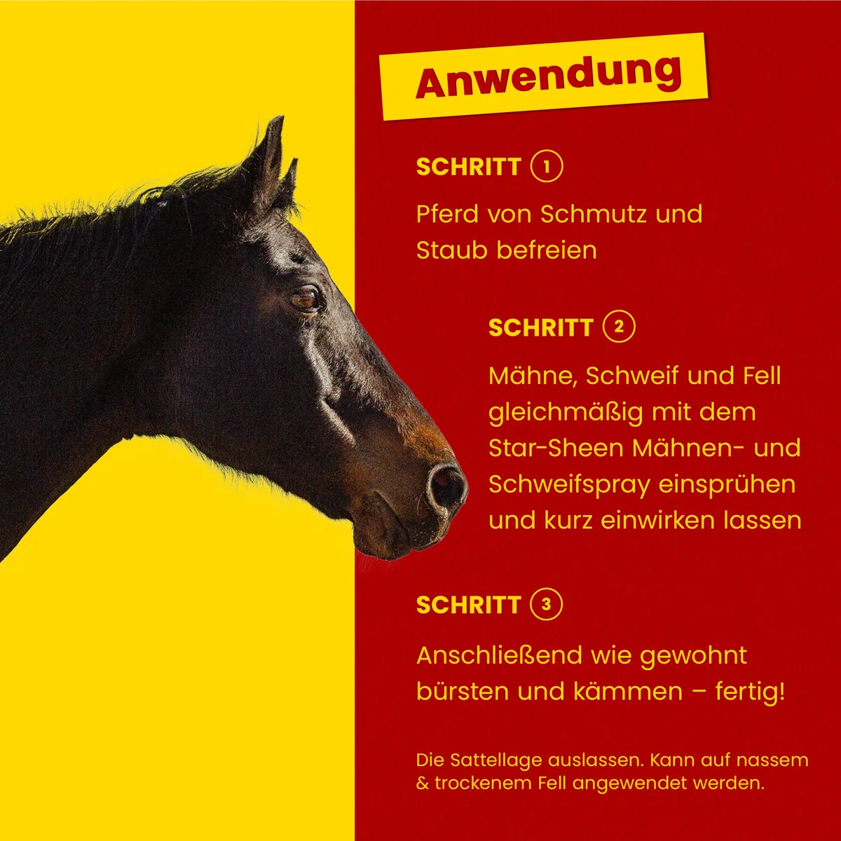 Scheidler horse-direkt Star-Sheen Mähnenspray 5l Kanister für Pferde – Langanhaltendes Schweifspray für brillanten Glanz - Leichtes Kämmen & Fellpflege – Natur Glanzspray Made in Germany