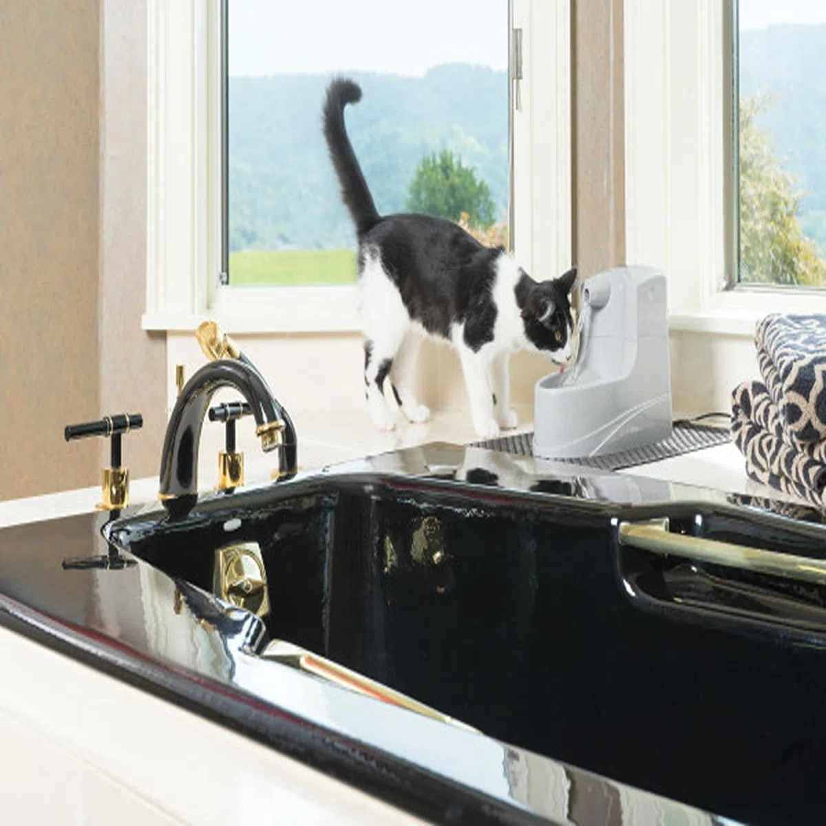 PetSafe Drinkwell Trinkbrunnen Mini, Zweifaches Filtersystem, Für kleine Hunde und Katzen geeignet, 1,2 Liter Wasserkapazität
