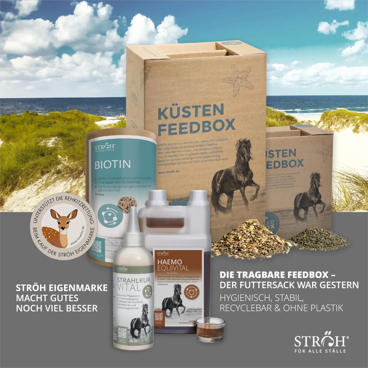 STRÖH Omega 3" Öl (2,5 L Kanister) für Pferde • Omega Fettsäuren aus Leinöl, Traubenkernöl & Fischöl