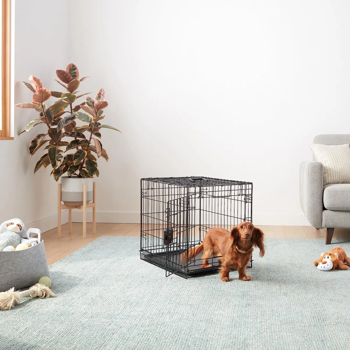 Amazon Basics Zusammenklappbarer Hundekäfig aus Metalldraht mit Bodenschale, Einzeltür, Schwarz, L 61 x B 46 x H 51 cm