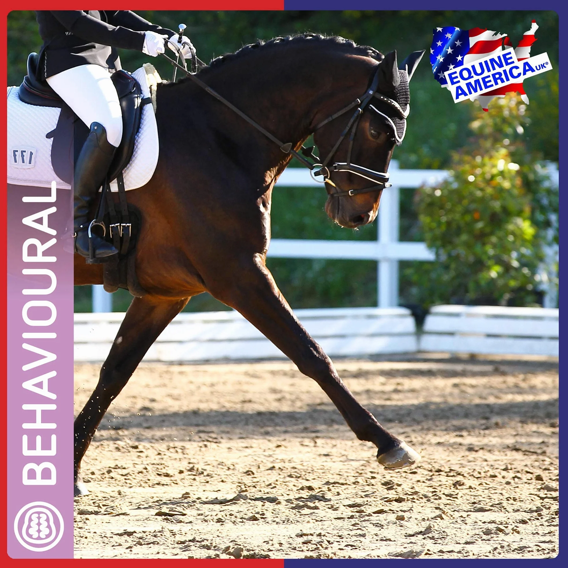 Equine America Super So Kalm Paste | Premium gebrauchsfertiger Ernährungszusatz für Pferd und Pony | Fördert ruhiges Verhalten | 30 ml
