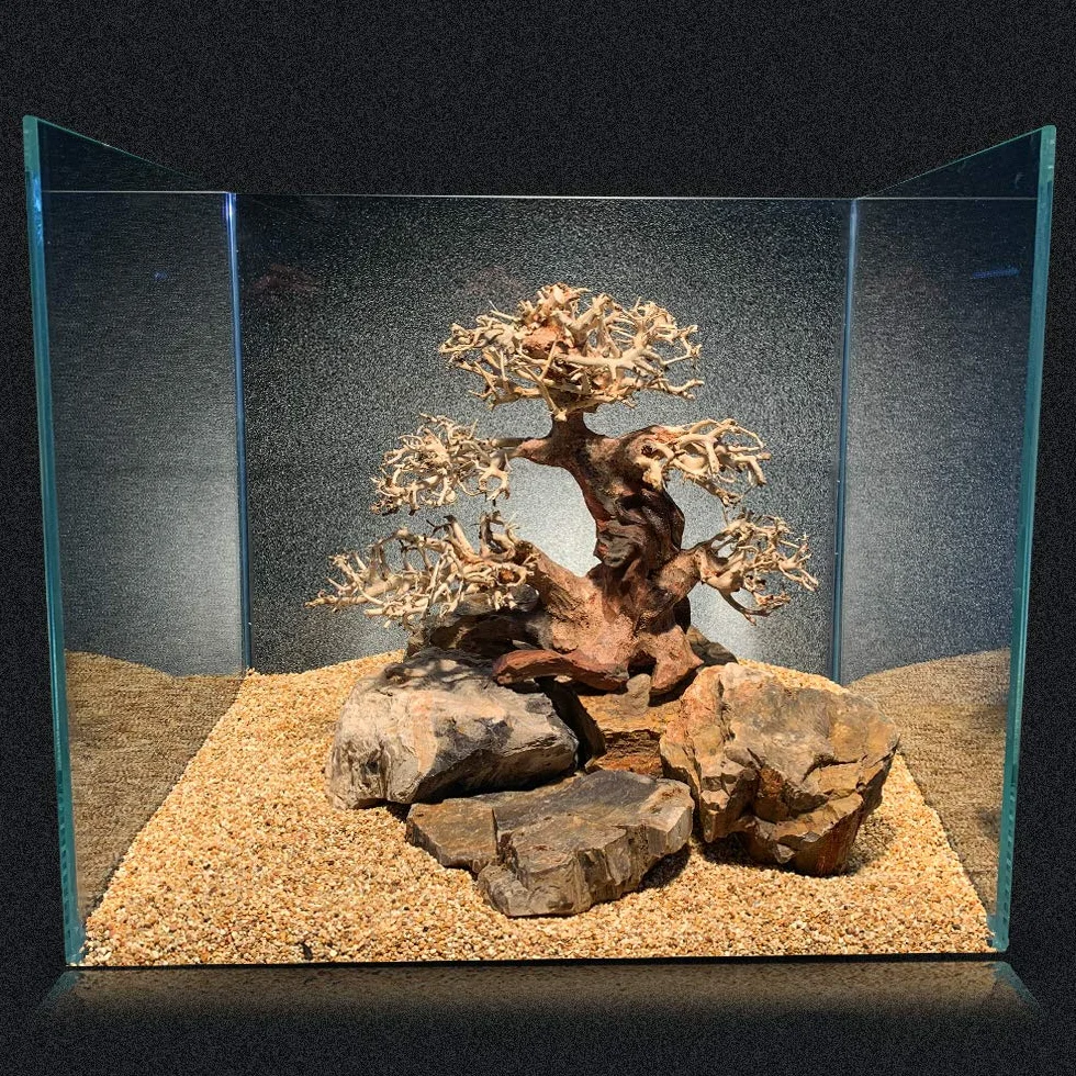 Amtra - Oriental Wind Wood 4, Dekoration Süßwasseraquarium, Bonsaiholz, handgefertigt, für Aquascaping, 23x10x17 CM