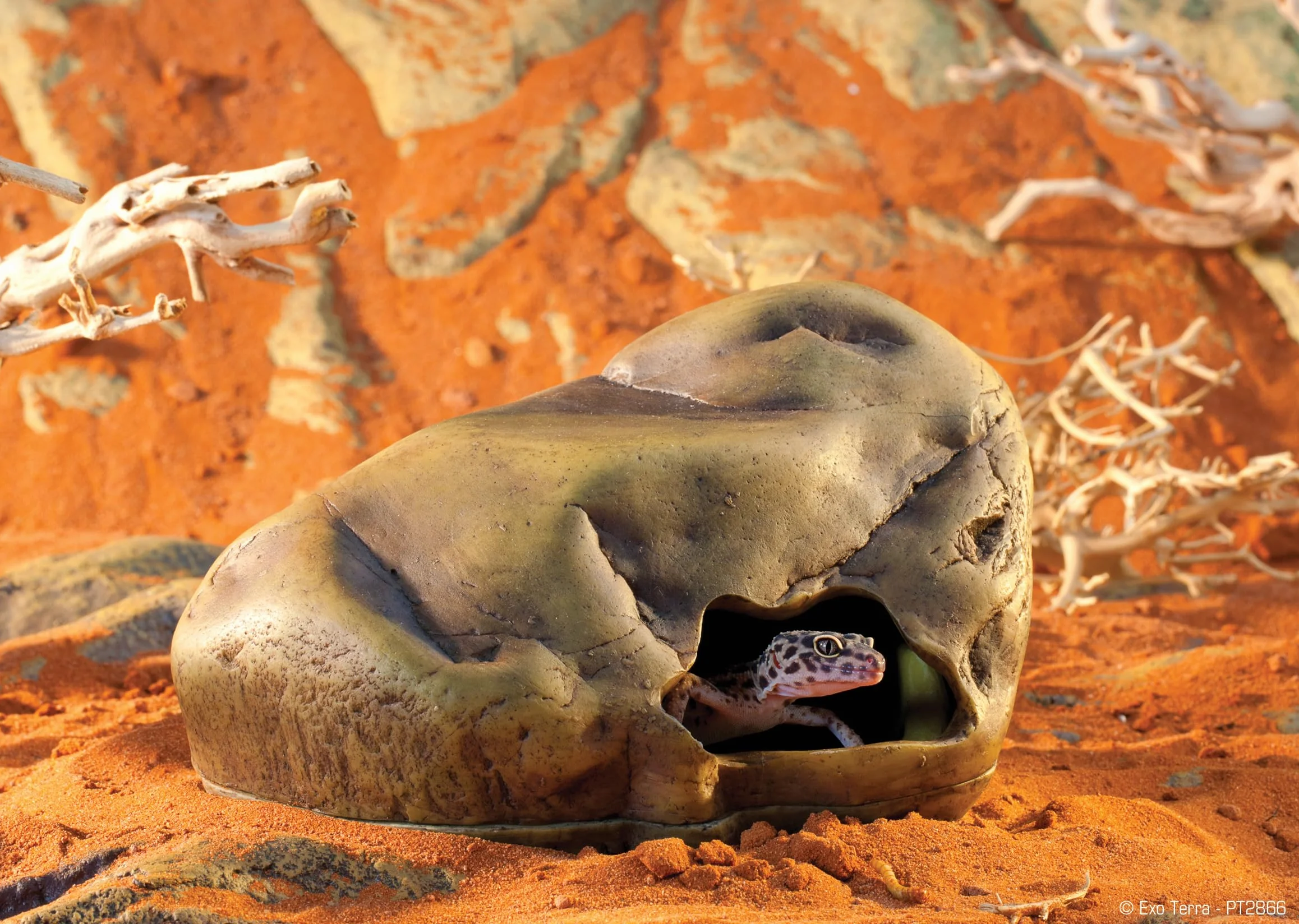 Exo Terra Gecko Höhle für Reptilien, groß