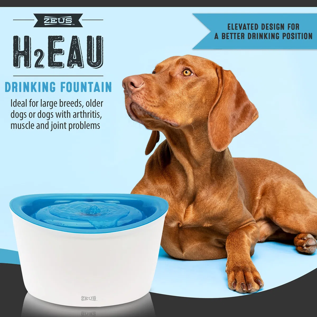 Zeus Trinkbrunnen für Hunde, weiß/blau, 6L