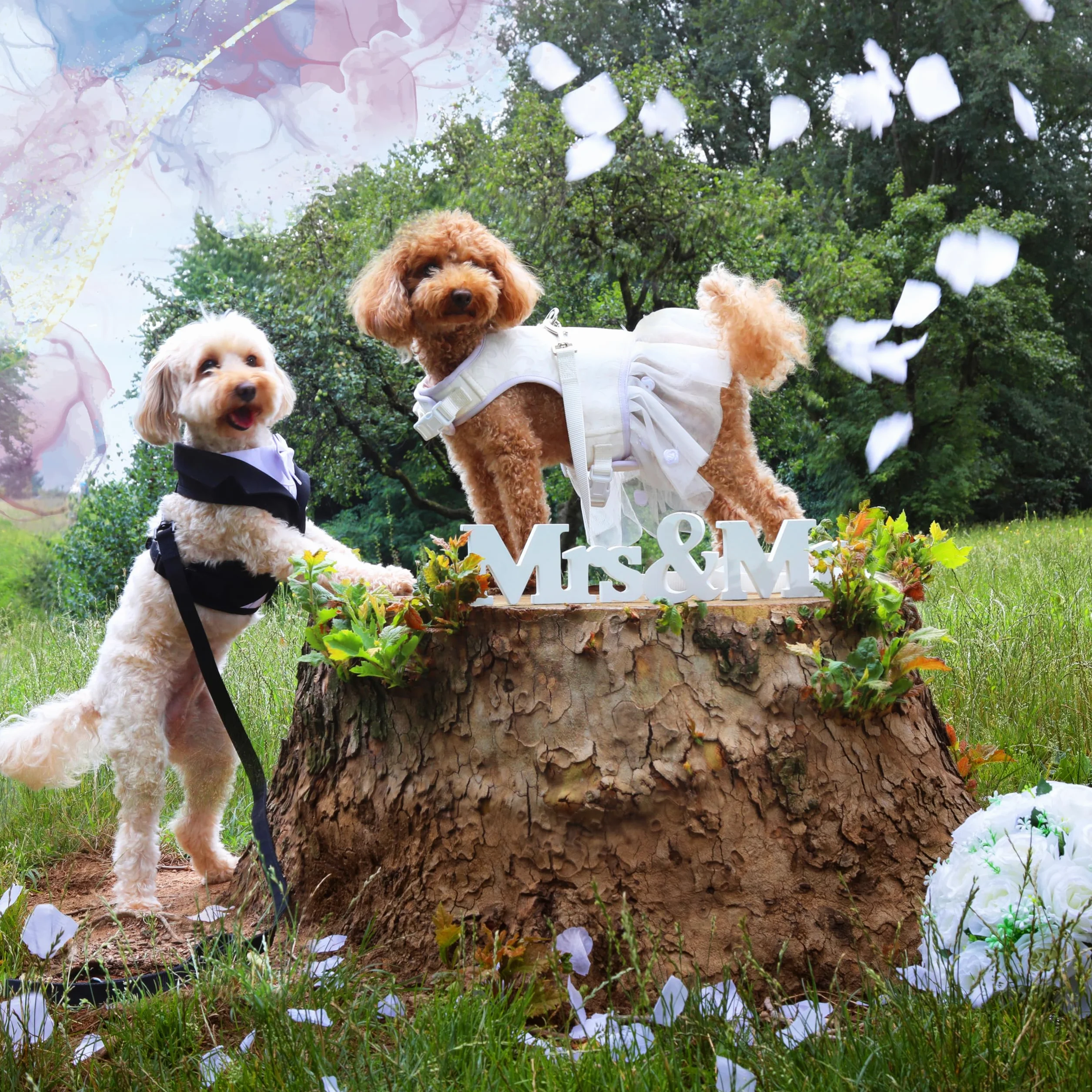 Croci Ceremony Bride Hundegeschirr für Männliche Hunde für Hochzeit, Hundekleid mit Tüllrock, Damastmuster, verstellbar, M/41-45 cm