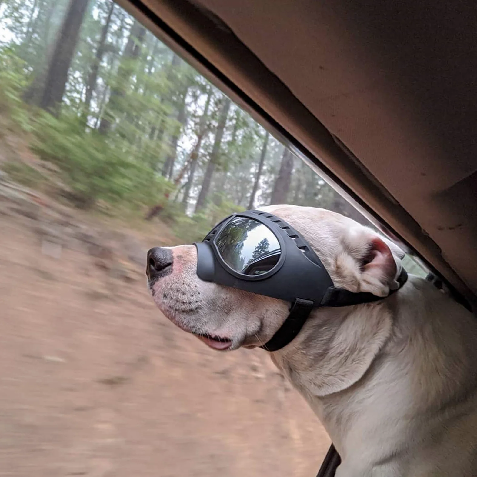 Namsan Hundebrille, mittelgroß, Anti-UV-Sonnenbrille, Winddicht, schneefest, weicher Rahmen, Brille für Lange Schnauze, Hunde, Augenschutz, Schwarz