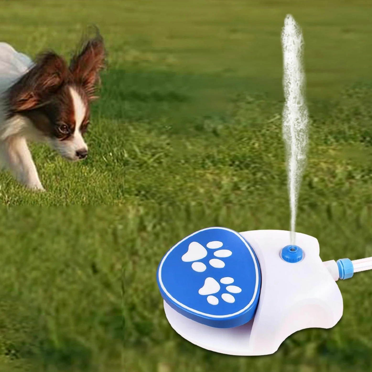 Wasserfontäne Zum Drauftreten Für Hunde – Pfotenaktiviertes Spielzeug | Interaktiver Sprinkler Mit 1,62 M Schlauch | Für Draußen Terrasse Garten Hof Balkon Sommerspiel Unterhaltung