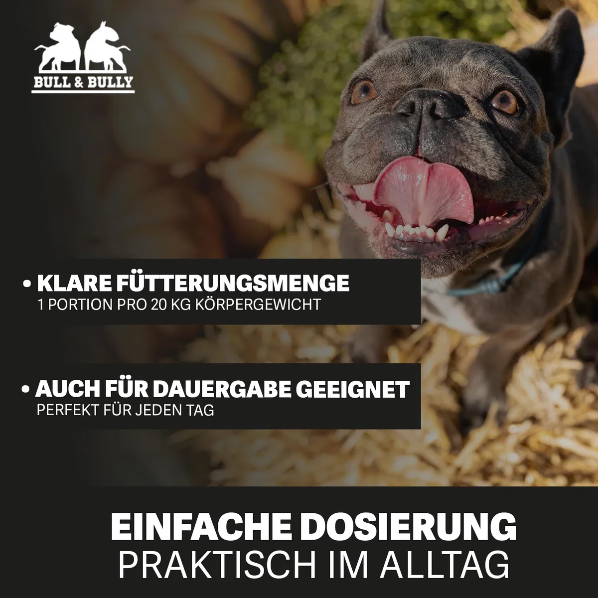 BULL & BULLY Hundefutter Trocken Premium mit Lachs, Rind & Geflügel 10kg