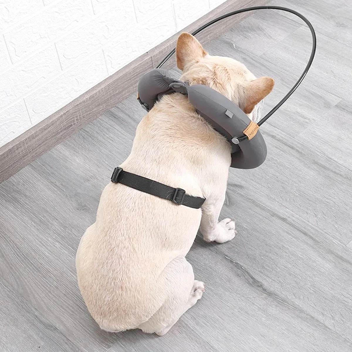 Halo-Leitgerät Blinde Hunde, Schutzhalsband for Blinde Hunde, Effektive Barriere for Sichere Navigation Und Stärkung des Selbstvertrauens Bei Hunden(XX-Large)