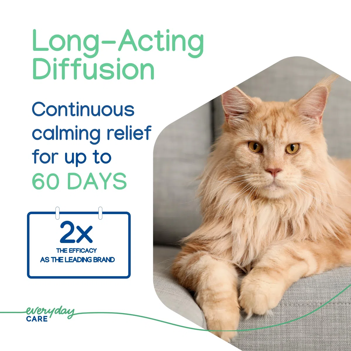 Virbac Zenifel Gel-Diffusor zur Bewältigung von stressbedingtem Verhalten bei Kätzchen und Katzen, kein Strom erforderlich, hält bis zu 2 Monate, 1 Diffusor