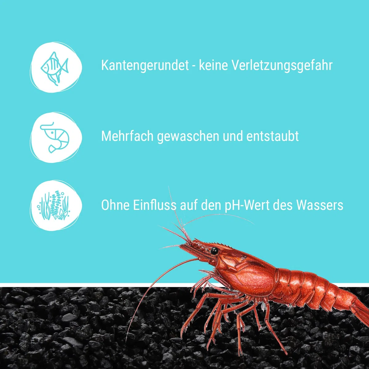 Schicker Mineral Aquariumkies schwarz 25 kg, feiner Quarzkies mit Epoxidharz ummantelt, kantengerundeter Bodengrund, farbecht, Kies für Süßwasseraquarien & Meerwasseraquarien (2,0-3,0 mm)
