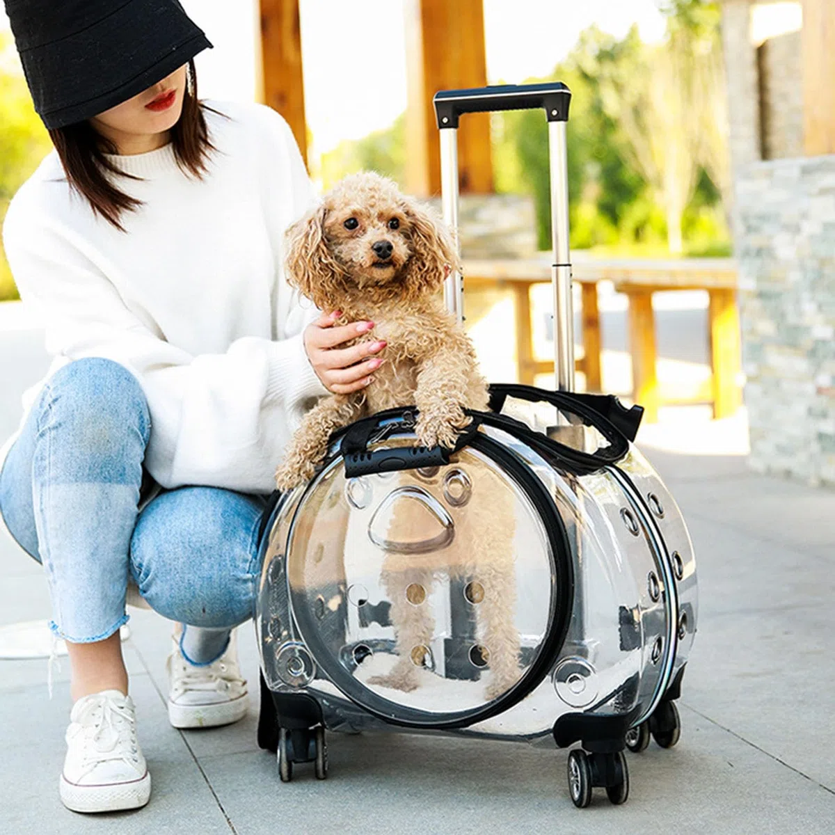 Katzentragetasche mit leisen Rädern, Rolltasche für Haustiere mit transparenten Belüftungslöchern, tragbarer Hunderucksack, Reisetragersitz für Katzen/Hunde, Haustier-Trolley-Tasche für Reisen, Orange