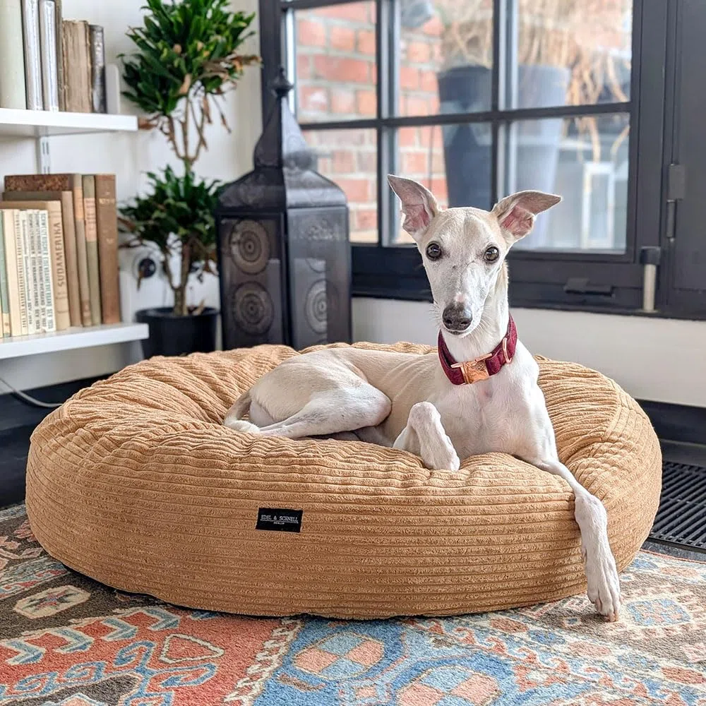 EDEL&SCHNELL Hundebett Wechselbezug in der Farbe Sand, Ersatzbezug für runde Hundebetten 125 cm, Bezug aus weichem Baumwoll-Cord-Stoff