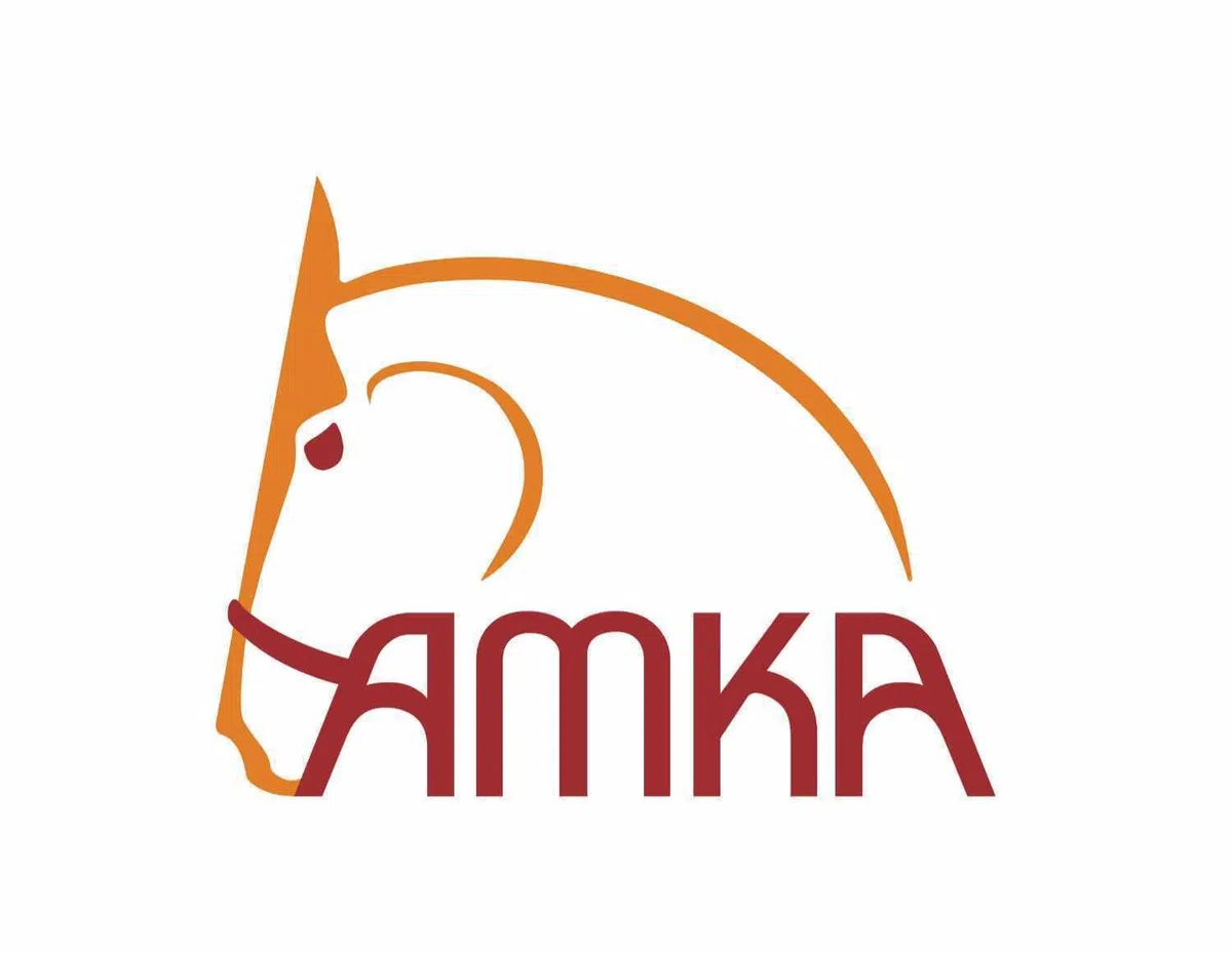AMKA Dreieckszügel verstellbar, Wienerzügel aus Leder, ideal zum Longieren Pony SCHWARZ, Hilfszügel