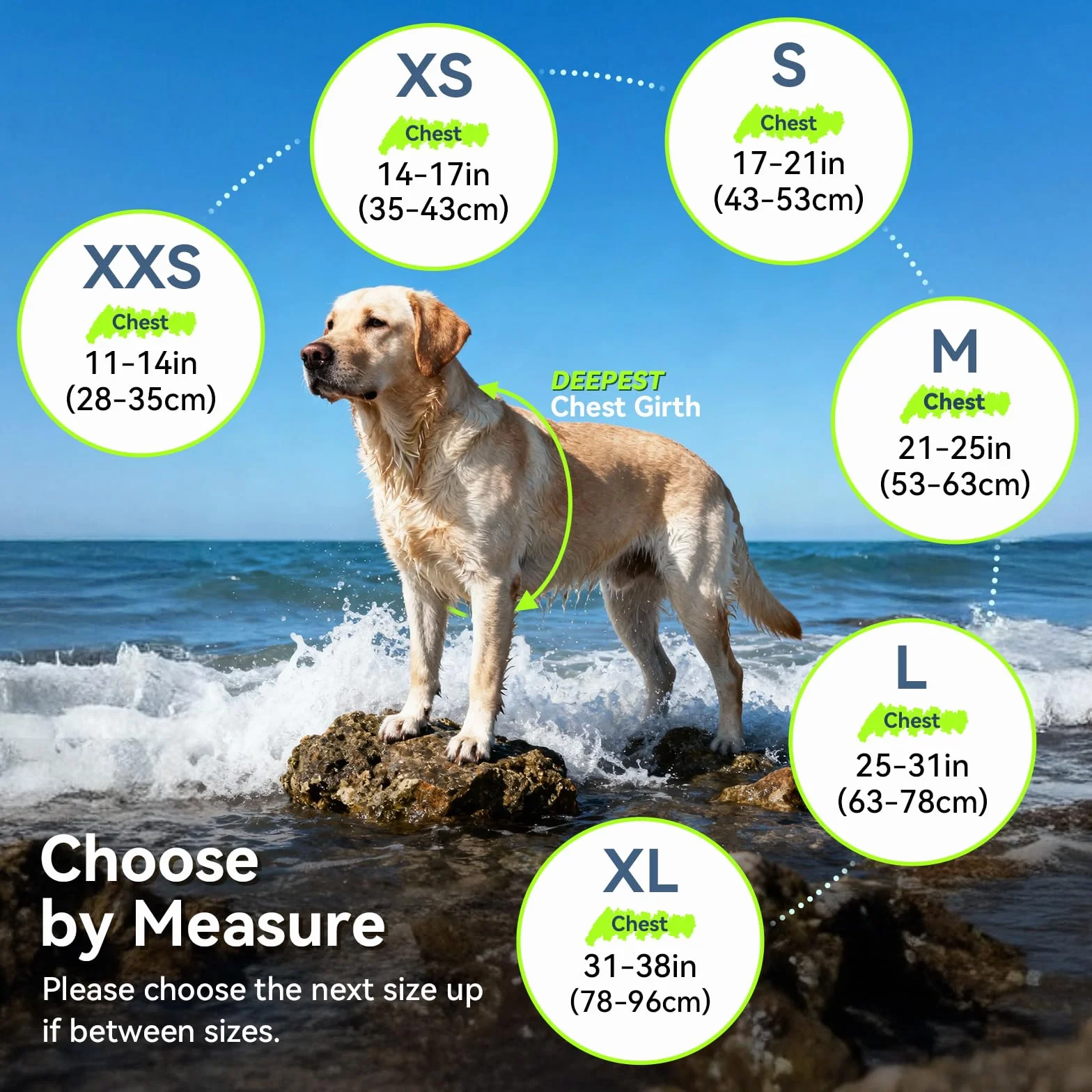 VIVAGLORY Rip Stop Schwimmweste Hund, Hundeschwimmweste, Schwimmhilfe & Auftrieb, Rettungsweste Hund für Bootfahren, L, Türkis | Warnweste aus Ripstop-Gewebe für Hunde, mit Griff und Leinen-Ring für Bootfahren und Schwimmen