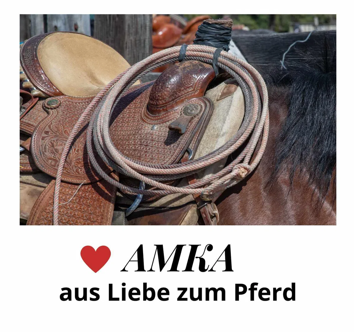 AMKA Sattelgurt Converter aus Nylon Adapter für Sattelgurte 1 Paar 2-Buckle Saddle Girth Converter (Cinch) von Englisch auf Western