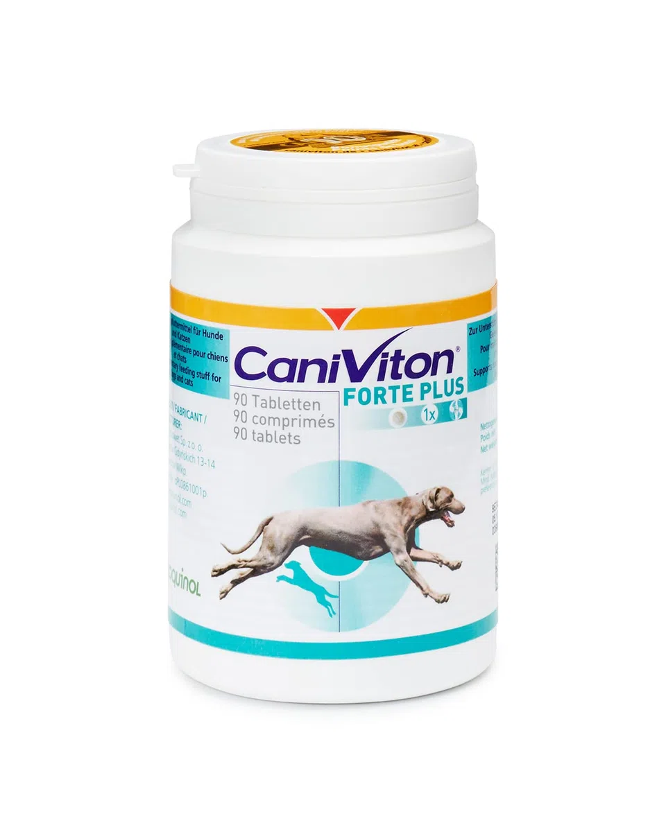Vetoquinol - Caniviton Forte Plus Ergänzungsfuttermittel für Hunde und Katzen 90 Tabletten, 1er Pack (1 x 0.24 kilograms)
