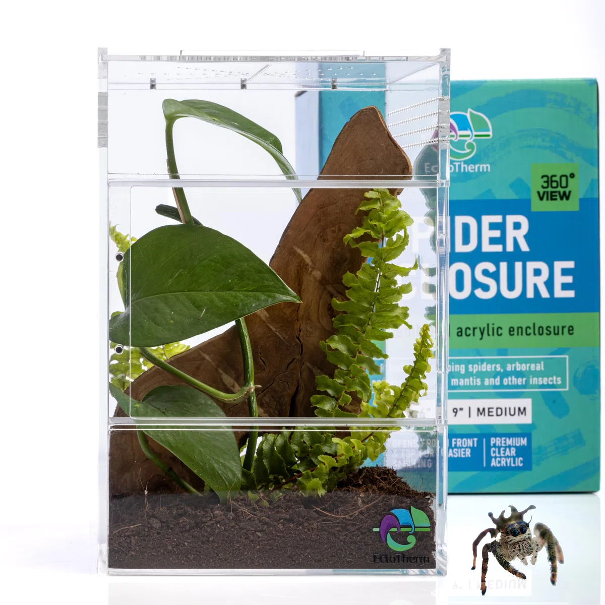 Springspinnengehege, Springspinnenwohnraum, Spinnen-Terrarium Kit, Springspinnengehege Zubehör, Spinnenkäfig, Käferterrarium, Insektenterrarium, Schneckenlebensraum, Arboreal Tarantel Gehege