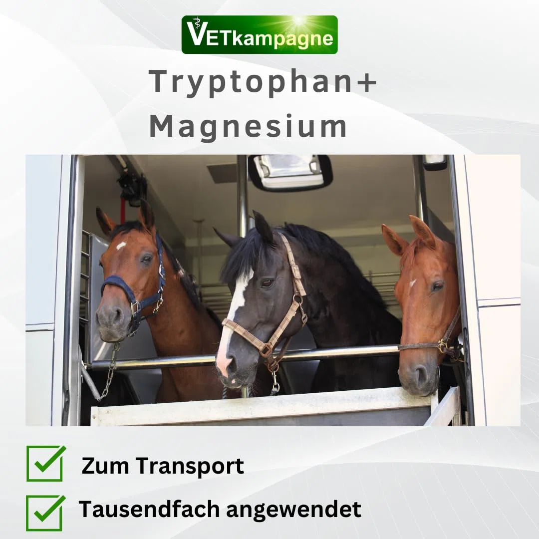 Tryptophan + Magnesium Pferd [Hochdosiert] – Von Tierärzten entwickelt – Unterstützt Nerven, Entspannung & Losgelassenheit – Mit Vitamin B12 – Ergiebiges Pulver 2000 g Nachfüllpack