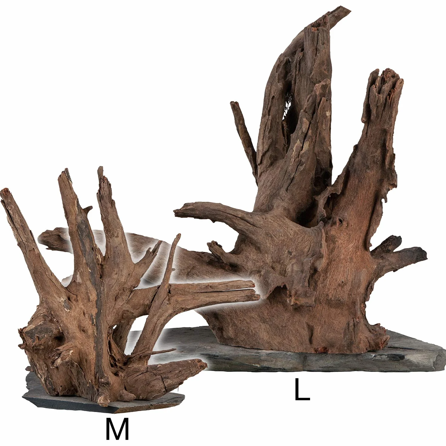 sera Scaper Wood L 30 - 35 cm - Kompaktes Wurzelholz auf Schieferplatte in zwei Größen