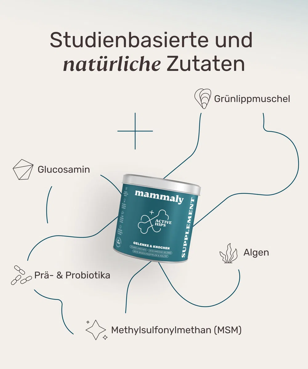11-in-1 Grünlippmuschel Hund Gelenktabletten - Active Hips 110 Leckerli (325g) von mammaly - Gelenk- & Knochenschutz für Hunde - Praktische Alternative zu Kapseln & Grünlippmuschelpulver für Senior