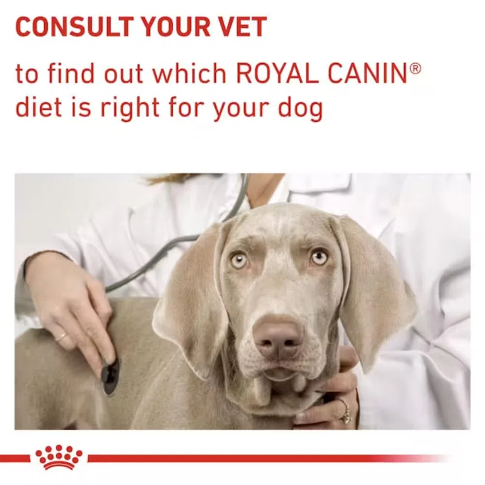 VHN Dog Anallergenic 8kg