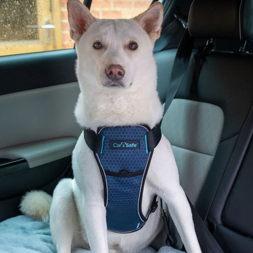 CarSafe Crash-getestetes Hunde Sicherheitsgeschirr, Crashtest-geprüft bis zu 32 kg / 70 lbs, sichert den Hund zuverlässig im Auto, komfortables und gepolstertes Design, für mittelgroße Hunde (Größe M)