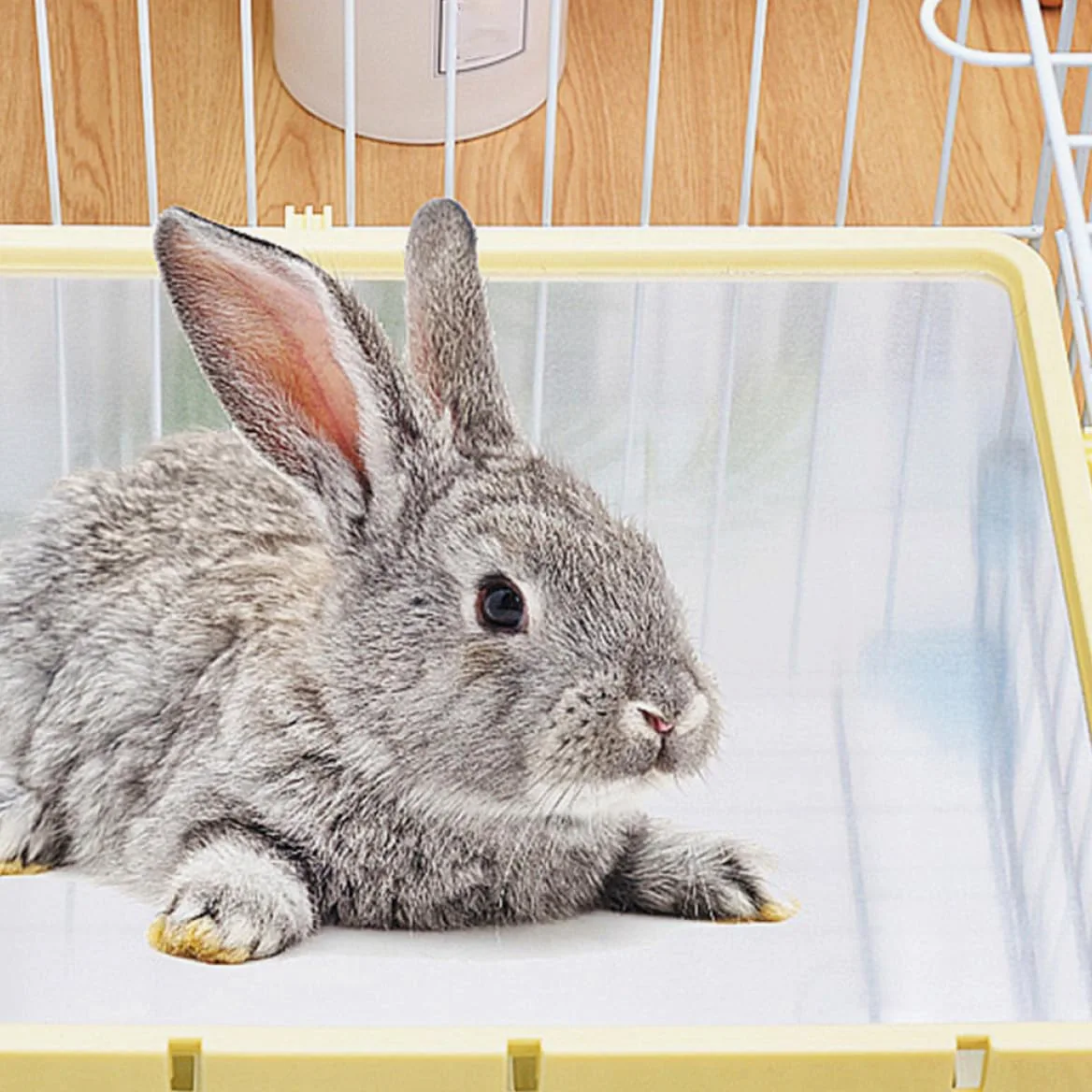INOOMP Kühlmatte für Haustiere aus Aluminium 50x30cm Wärmeableitende Sommer Kühlplatte für Kaninchen Hunde Hamster Glatte Oberfläche Bissfest Schnell Kühlend