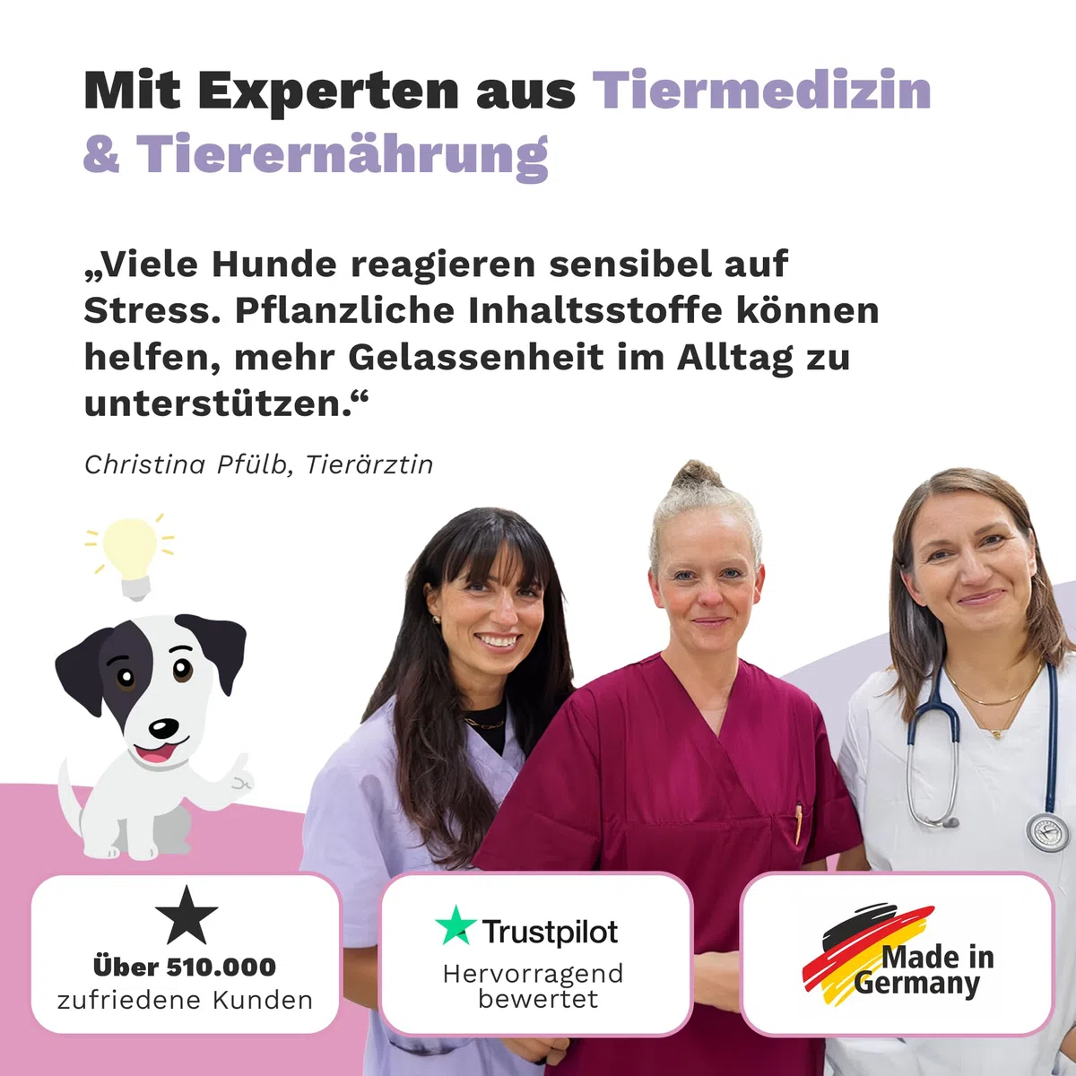 Beruhigungsmittel für Hunde – Natürliches Hunde Beruhigungsmittel tierärztlich entwickelt zur Beruhigung Hund – Chillout Drops mit Baldrian für den Hund Beruhigung und 350g von TIERLIEBHABER