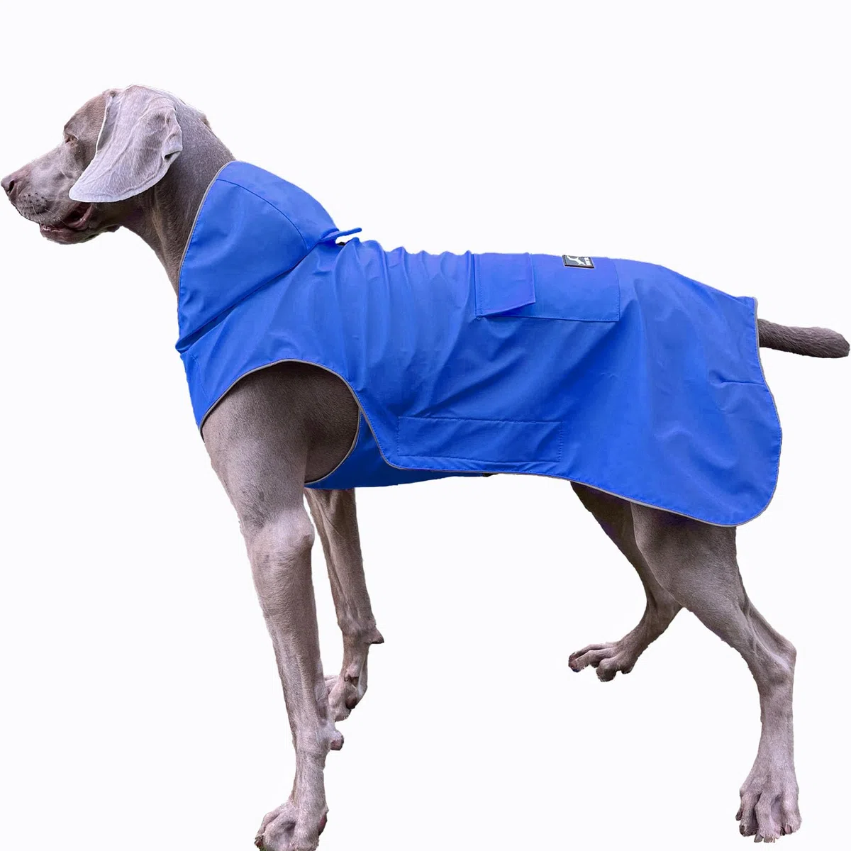Nicht Steif, Super Weiche Haptik Hunde-Regenmantel, Reflektierend, Verstellbar, Einfach zu Tragen, Leinenloch für S - XXXXXL Hunde (Blau, XXXXXL)