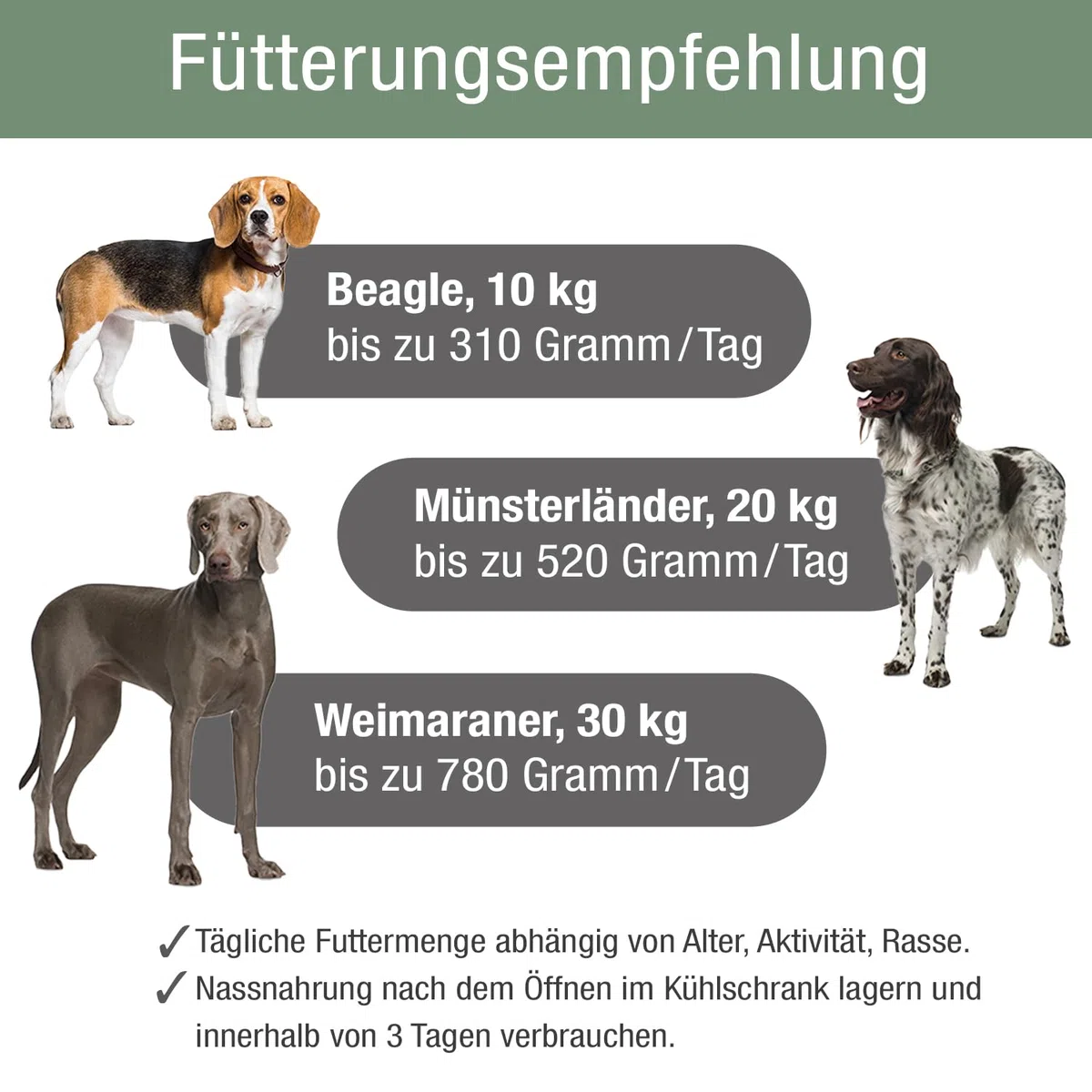 PLATINUM - Hundenahrung Menu Adult Beef+Chicken aus Fleischsaftgarung - 12 x 375 g Hundenassfutter nährstoffreich wie Barf - besonders saftig für kleine und große Hunde - BPA-frei, in DE geprüft