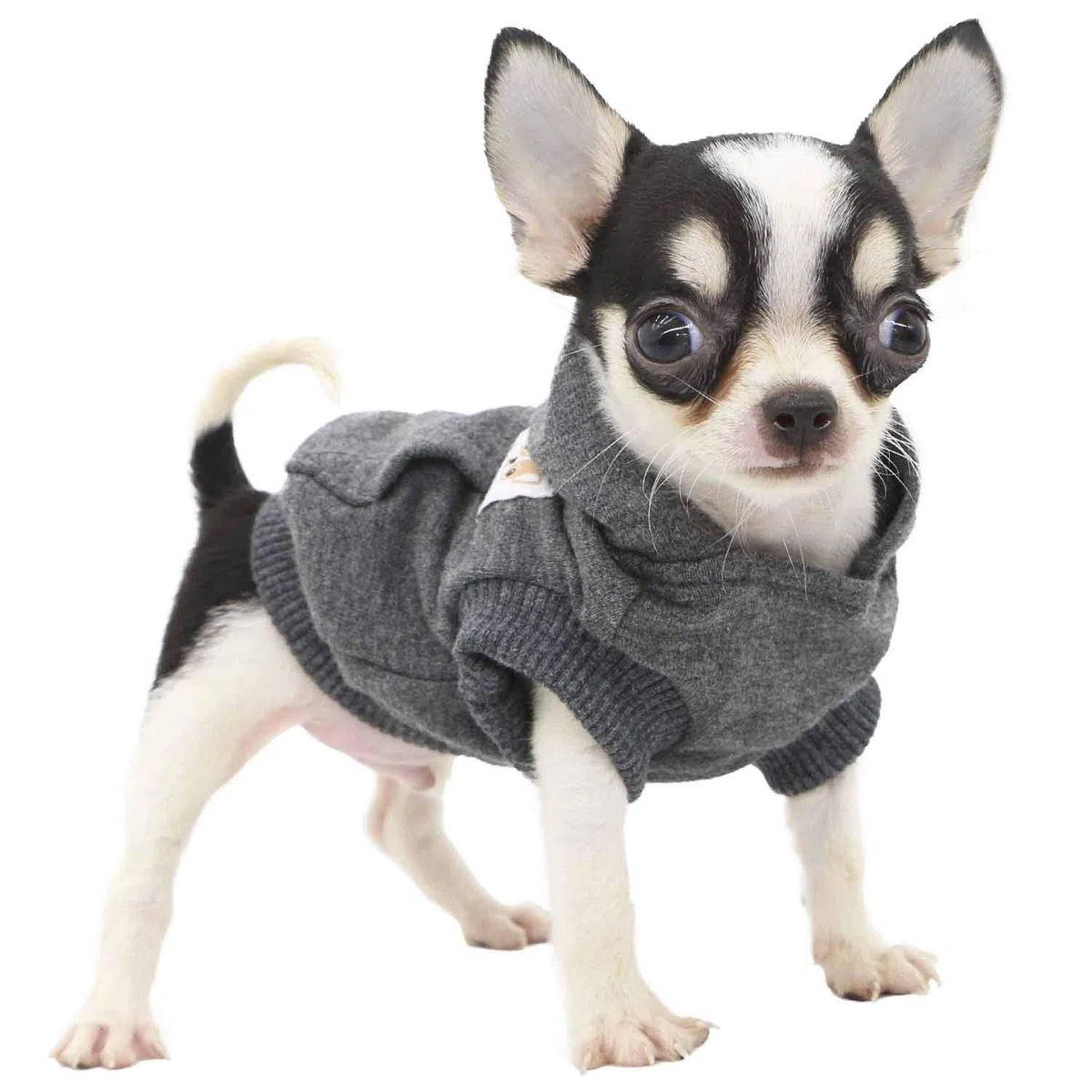 LOPHIPETS Hunde-Kapuzenpullover aus Baumwolle für kleine Hunde, Chihuahua, Welpenkleidung, kaltes Wetter, Anthrazit/Größe XXS