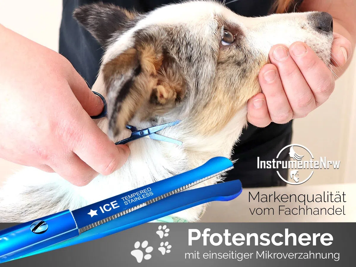 Profi Pfotenschere Fellschere Gerade TITAN mit Mikroverzahnung 9 cm Blau
