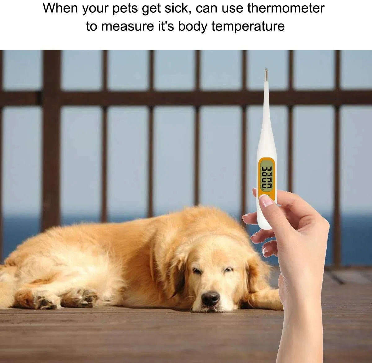 Erste Hilfe Set für Haustiere, tierärztliche Erste-Hilfe-Tasche für Hunde, Katzen, Kaninchen, Tiere, inklusive Otoskop, Thermometer,Tierfutter, perfekt für die Heimpflege und für Outdoor-Notfälle