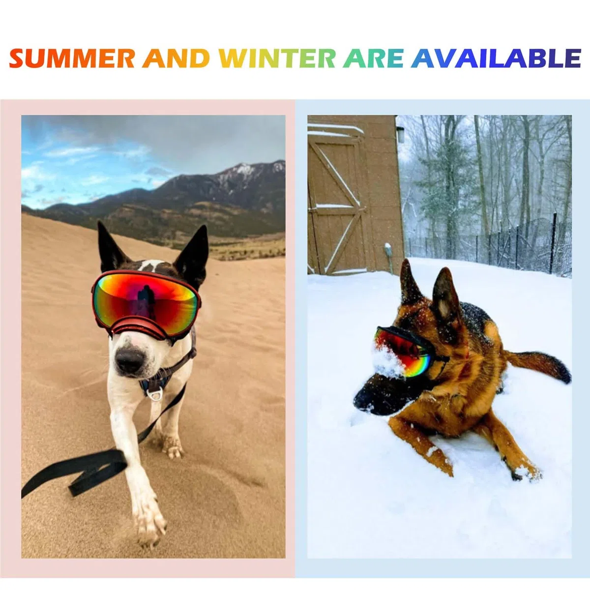 Hundebrille mit verstellbarem Band, UV-Schutz, windgeschützte Welpen-Sonnenbrille Ideal zum Schutz der Hundeaugen – Weiche, Bequeme Hundebrille
