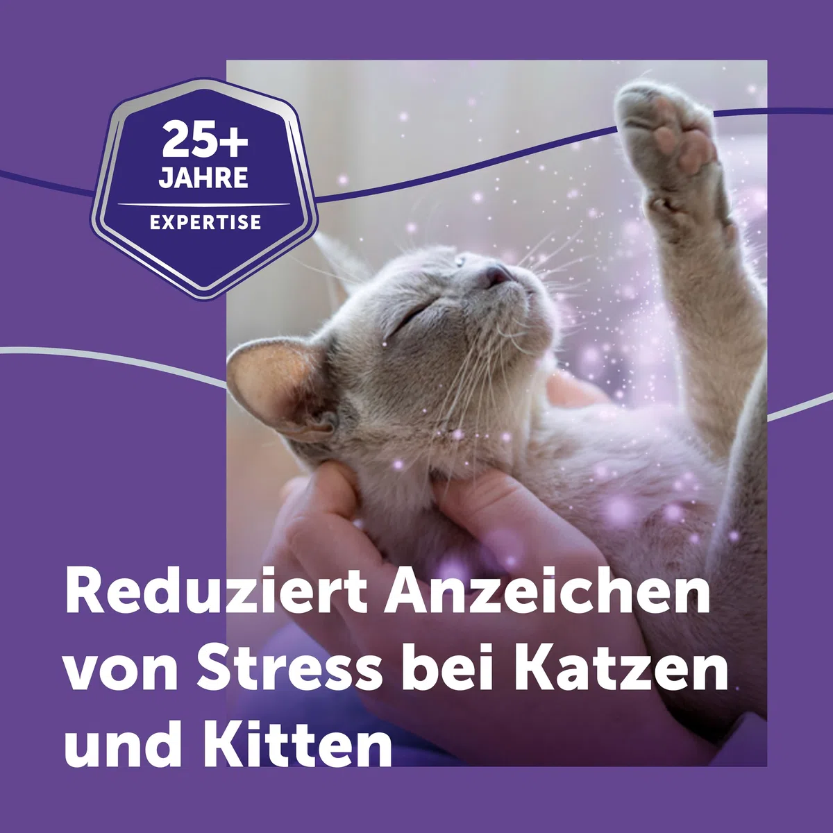 FELIWAY Optimum Start-Set | Pheromone für Katzen | Verdampfer für die Steckdose + 48ml Flakon | Diffuser gegen Stress, für mehr Harmonie | 30 Tage Wirkung | von Tierärzten empfohlen, klinisch getestet