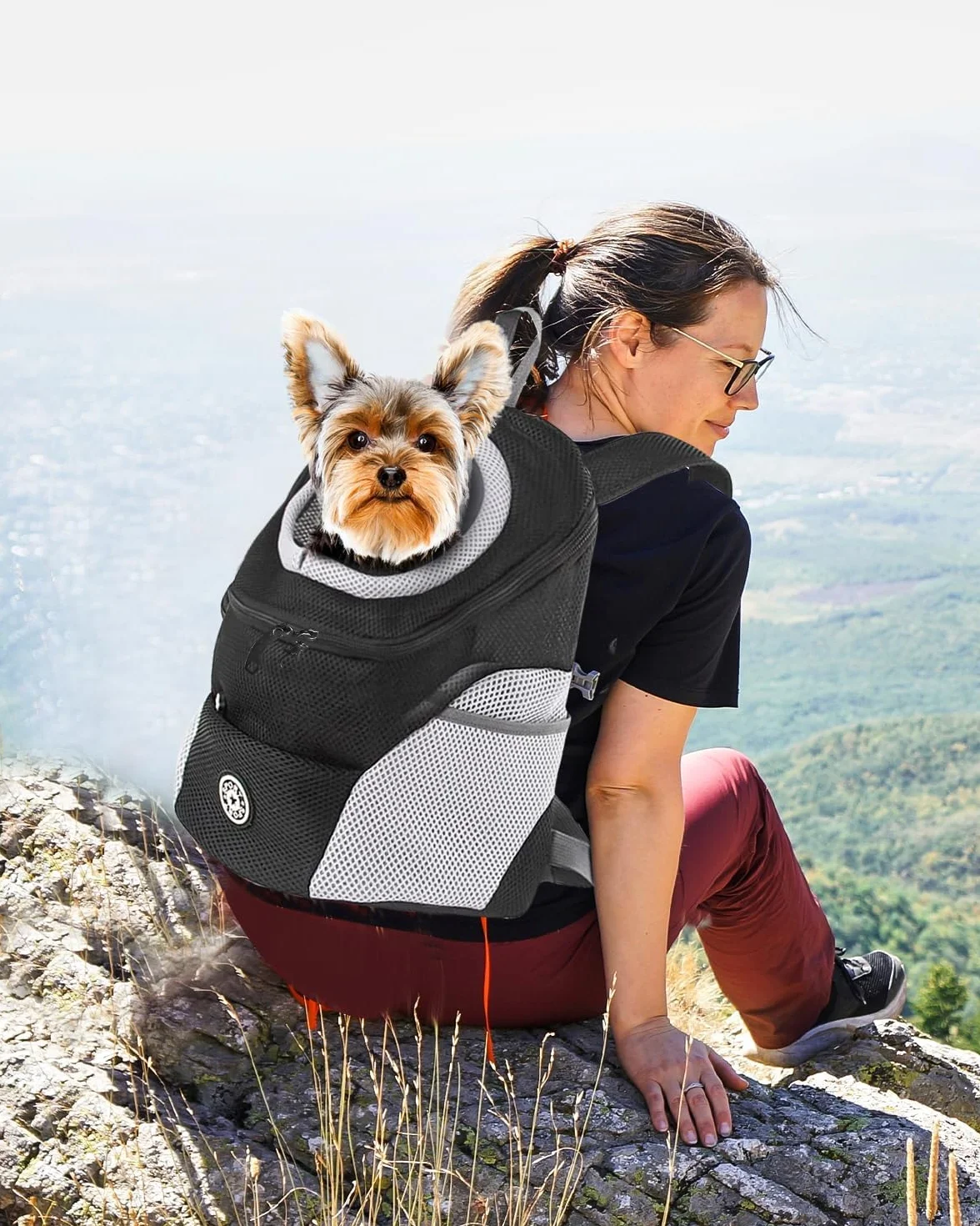 PETCUTE Hundetragerucksack,Verstellbarer Haustier Rucksack für Kleine Hunde und Katzen,Gepolsterter Schultergurt,Wasserdichter Boden,Atmungsaktiv,Haustier-Fronttasche mit Sicherheitshaken,zum Wandern