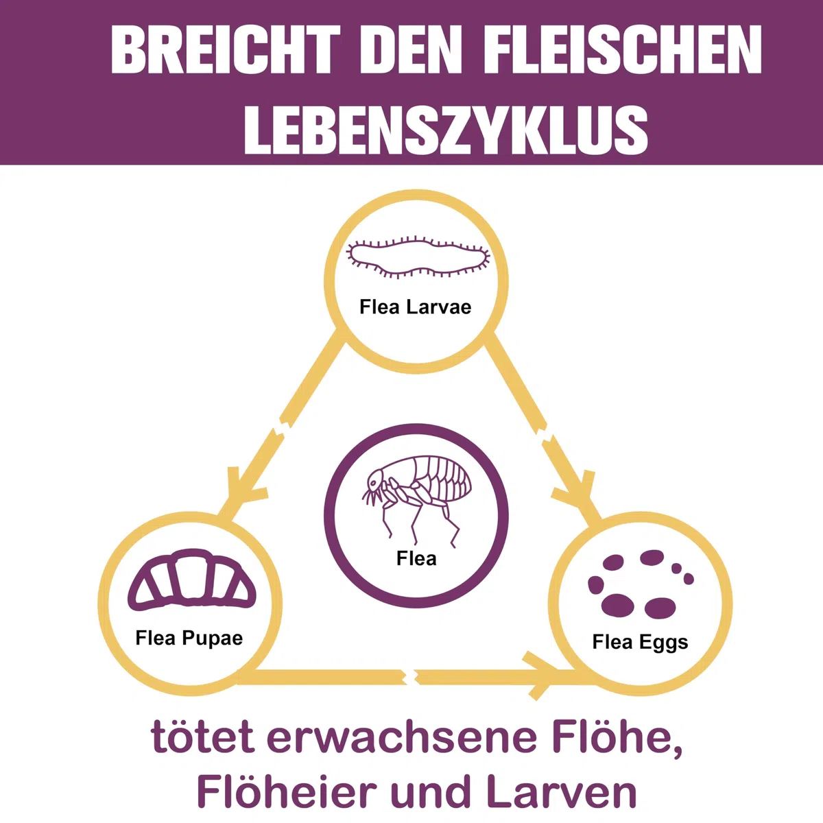 Zeckenschutz für Katzen 6 Pipetten, Spot On Katzen, Zeckenmittel für Katze, Katze flohmittel entwurmungsmittel für Katzen, gegen Flöhe & Zecken