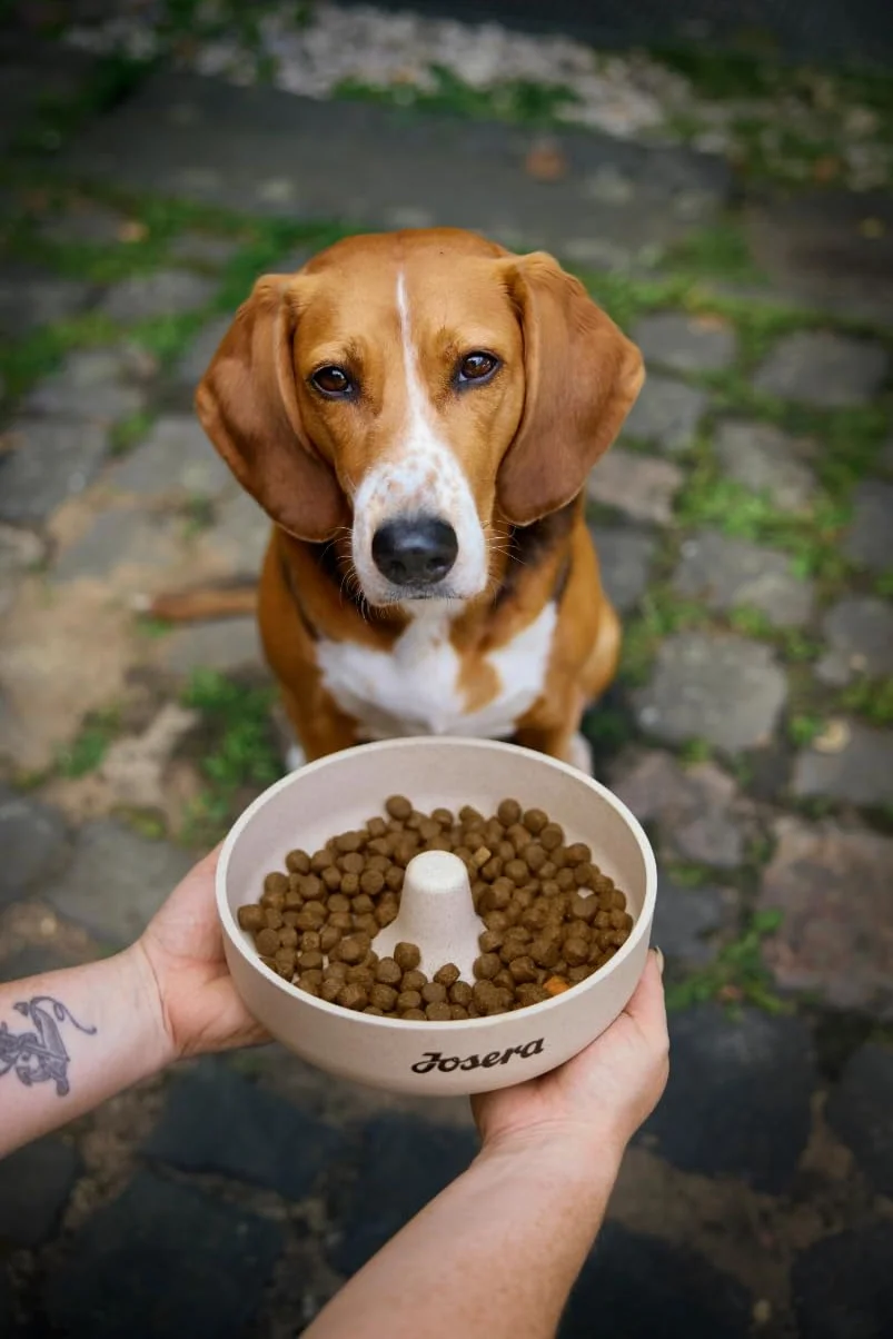 JOSERA Family Lachs & Reis (1 x 12,5 kg) | Mother & Puppy | Premium Trockenfutter für trächtige/säugende Hündinnen & Welpen | Optimale Versorgung mit Enegie & L-Carnitin | glutenfrei | 1er Pack
