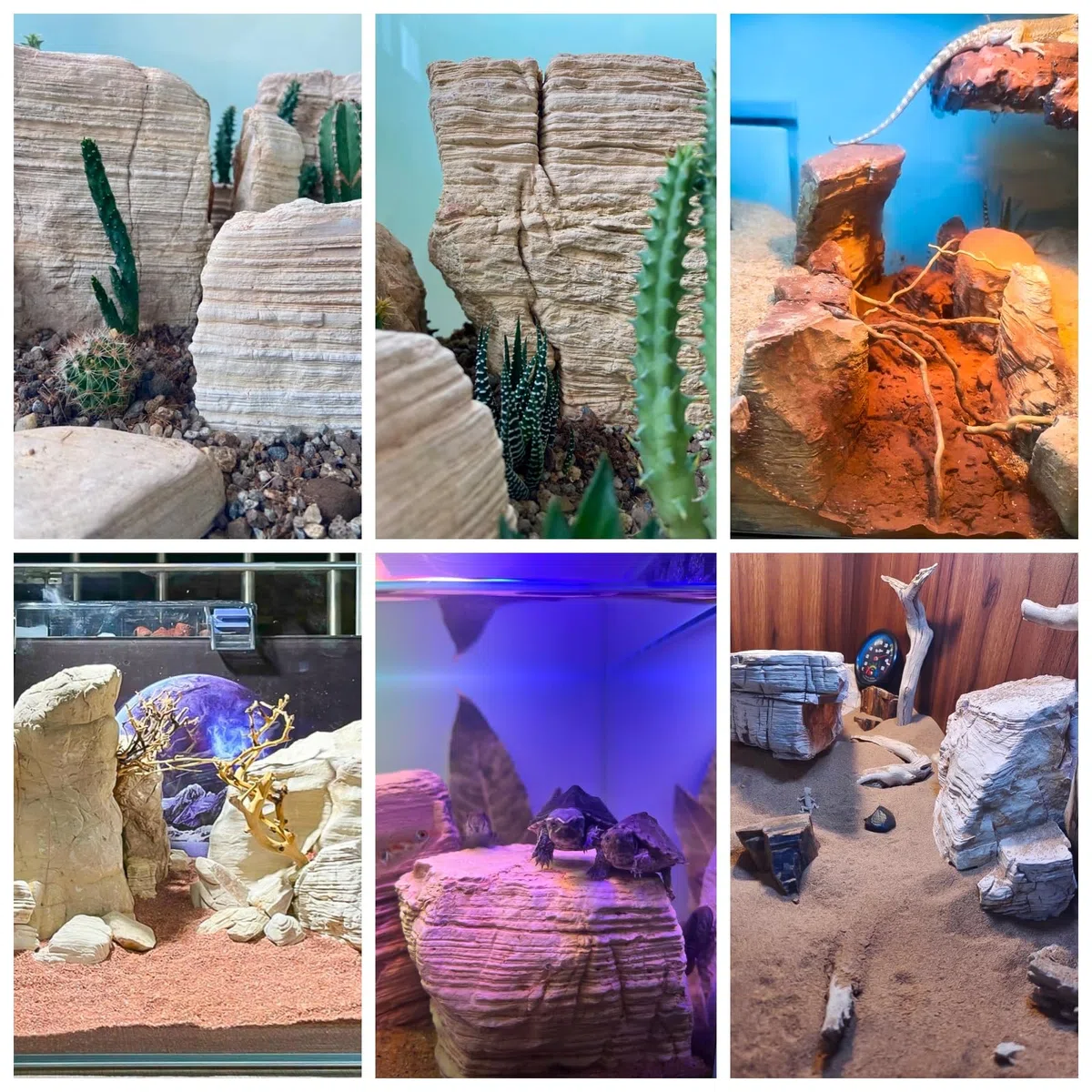 Pagodenstein, Melaleuca-Stein, Aquarienstein, cremige Textur mit Melaleuca-Struktur, für Aquarienlandschaften/Terrarien & Vivarien/Miniatur- & Feengärten (5 Pfund, 2-5 Zoll, 4~5 Stück) (10lb)
