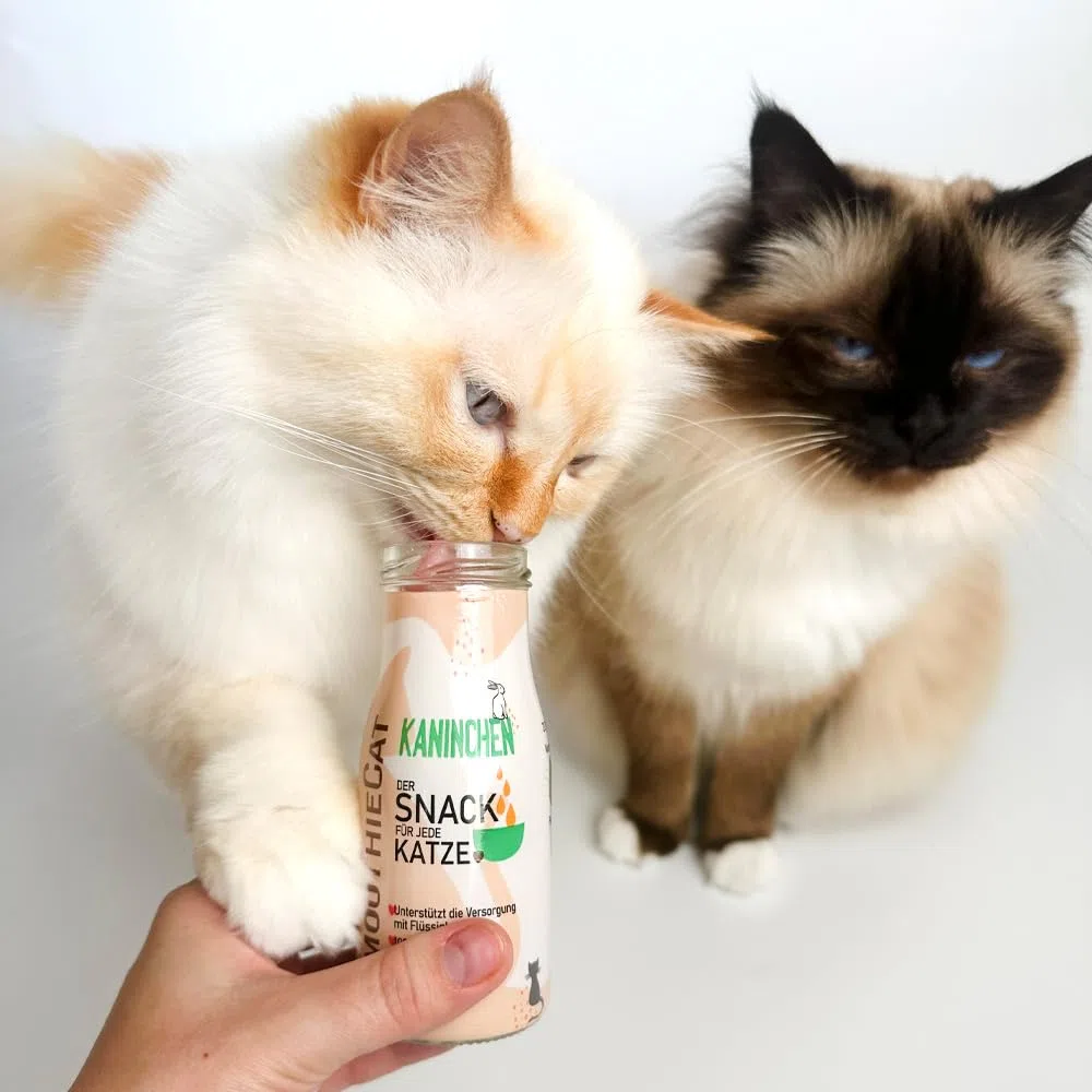 Katzen Smoothie SmoothieCat 12er Mix - je 3X: Huhn, Ente, Fisch, Kaninchen - Flüssignahrung für Katzen - Katzensuppe - Katzenmilch - Zucker- & glutenfrei - je 150ml
