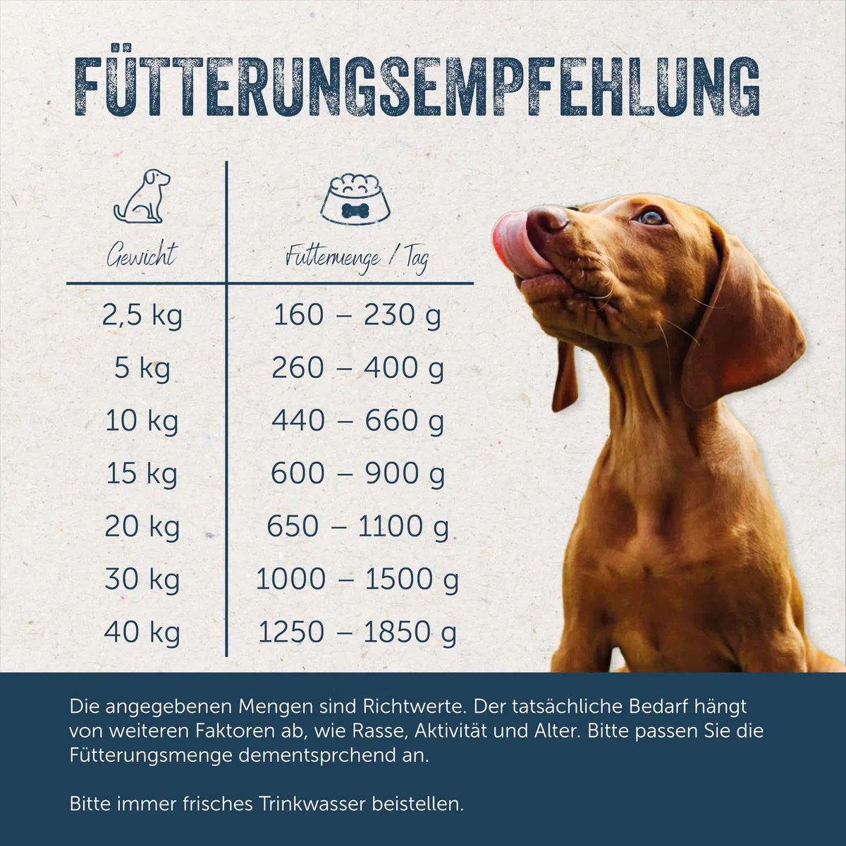 Lakefields Premium Hundefutter Nass | Wild 59% | 6 x 800g | Getreidefreies Nassfutter für Hunde | Natürliche Zutaten in Lebensmittelqualität | Karotten, Kartoffeln & Heidelbeeren | Schonend gegart