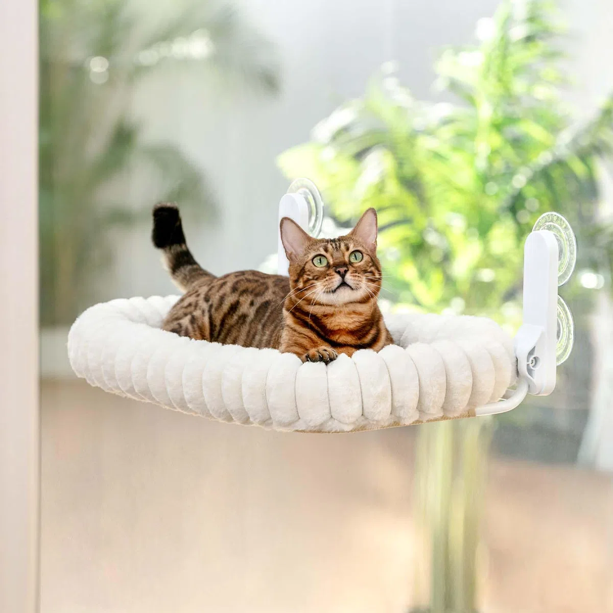 GUUSII HOME Katzen Fensterliege Faltbar Katzenbett Fenster Fensterbank Katze Hängematte mit Wendebezug & Saugnäpfen Fensterbrettauflage Fensterliegeplatz Bis zu 18kg Fensterscheibe (Weiß, M)